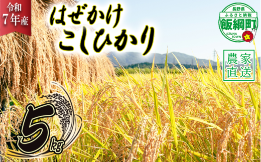 米 こしひかり 5kg ( 令和7年産 ) 黒柳さんのお米 はぜかけ 沖縄県への配送不可 2025年11月上旬頃から順次発送予定 コシヒカリ 白米 精米 お米 信州 14000円 予約 農家直送 長野県 飯綱町 [0107] 232454 - 長野県飯綱町