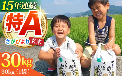 [2025年10月発送]令和7年産 新米 さがびより 玄米 30kg[ひなたむらのお米] [HAC001] 米 佐賀 佐賀県産 特A評価 特A米