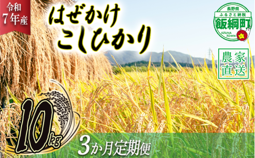 米 こしひかり 10kg × 3回 【 3か月 定期便 】( 令和7年産 ) 黒柳さんのお米 はぜかけ 2025年11月上旬頃から順次発送予定 コシヒカリ 白米 精米 お米 信州 75000円 予約 農家直送 長野県 飯綱町 [0434] 232459 - 長野県飯綱町