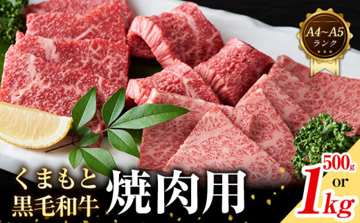 【A4～A5】くまもと 黒毛和牛 焼肉用 500g 1kg 《30日以内に出荷予定(土日祝除く)》熊本県 大津町 黒毛和牛 肉 お肉 和牛 牛 牛肉 A5 A4 小分け