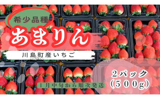 【希少あまりん】朝採れ！いちご　あまりん2パック（500g）どらちゃん農園　人気　あまりん　希少国産 埼玉県 川島町産 完熟いちご 期間限定  1796719 - 埼玉県川島町