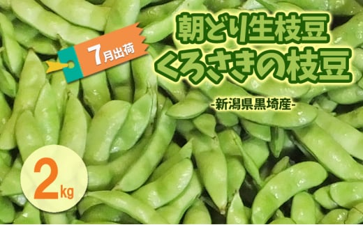 7月出荷 朝どり生枝豆 くろさきの枝豆2kg 新潟県黒埼産 新潟市 枝豆 えだまめ えだ豆 2009427 - 新潟県新潟市