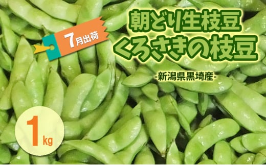 7月出荷 朝どり生枝豆 くろさきの枝豆1kg 新潟県黒埼産 新潟市 枝豆 えだまめ えだ豆 2009426 - 新潟県新潟市