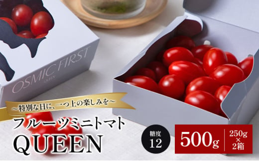 フルーツミニトマトQUEEN 500g(250g×2箱) トマト ミニトマト 国産 野菜 糖度12 濃厚 千葉市 千葉県 [№5346-1229] 2009389 - 千葉県千葉市