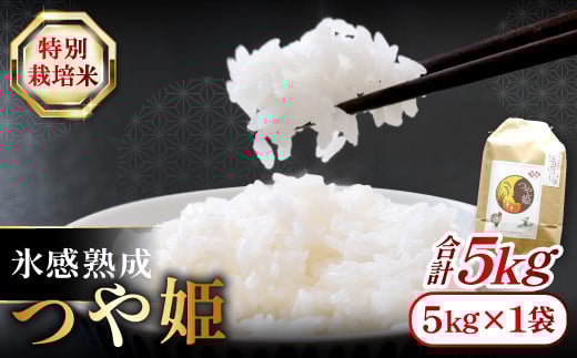 氷感熟成「つや姫」5kg【米 5kg つや姫 特別栽培米 こめ おこめ お米 島根県産 大田市産 氷感熟成 石見銀山氷感つや姫 減農薬 減化学肥料】 249440 - 島根県大田市