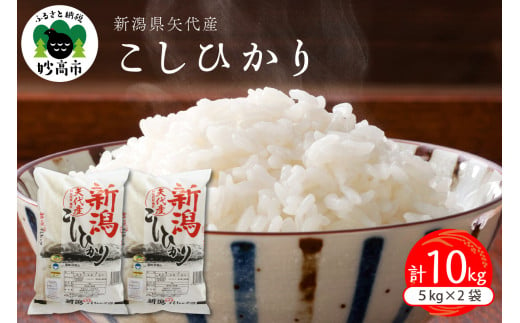 【2025年8月下旬発送】令和6年産 新潟県矢代産コシヒカリ10kg