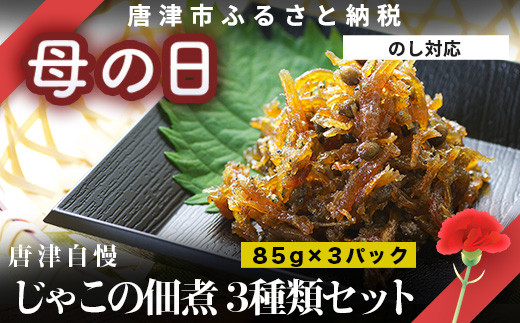「母の日」唐津自慢 じゃこの佃煮 3種類セット(山椒の実入・山椒の実入(青唐辛子)・落花生入)×各85g ご飯のお供 おかず おつまみ 詰合せ 佃煮