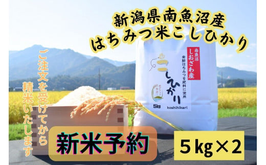 【令和７年産・新米予約・定期便】新潟県南魚沼産（塩沢地区）はちみつ米コシヒカリ 10kg×12か月　※蜂蜜発酵液肥料栽培