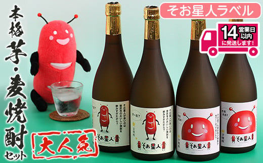 ＜2週間以内発送！＞鹿児島曽於市の本格焼酎を飲み比べ そお星人の芋焼酎と麦焼酎セット 岩川醸造(720ml×4本) 芋焼酎 麦焼酎 飲み比べ【山元商店】A58-v01