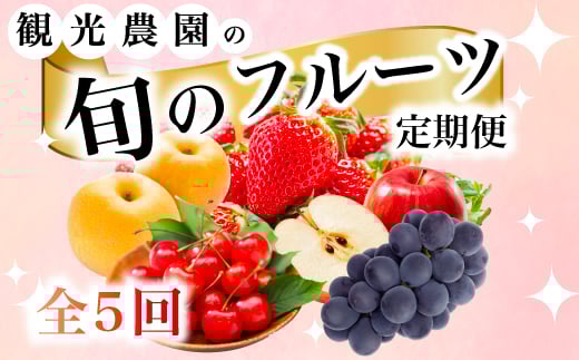 【フルーツ定期便全5回】豪華フルーツ いちご450g,さくらんぼ500g,梨2kg,ぶどう2kg,りんご2kg 詰め合わせ 採れたて 新鮮 産地直送 広島県 三原市 059021 1918241 - 広島県三原市