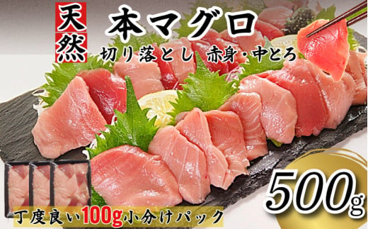 天然本まぐろ 切り落とし 500g(100g×5P） マグロ 本まぐろ 中とろ 赤身 天然 鮪 小分け 冷凍 刺身 漬け 晩酌 寿司 ユッケ マグロ丼 ねぎとろ 海鮮 2009692 - 徳島県小松島市