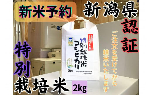 【令和7年産・新米予約】安心安全の新潟県南魚沼産特別栽培米コシヒカリ　2kg　新潟県認証