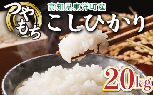 ＜2025年11月発送＞令和7年産コシヒカリ 20kg【S248】 2009822 - 高知県東洋町