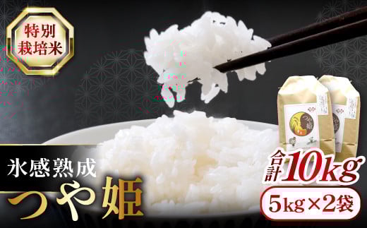 氷感熟成「つや姫」10kg【特別栽培米 つや姫 10kg 島根県産 大田市産 米 氷感熟成 石見銀山氷感つや姫 減農薬 減化学肥料】 249441 - 島根県大田市