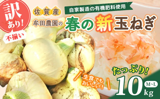 牟田農園の春の新玉ねぎ 【訳あり不揃い】１０㎏ たまねぎ タマネギ 野菜 新玉ねぎ 玉ねぎ 10kg 玉ねぎ 佐賀県 太良町 L151 1997347 - 佐賀県太良町