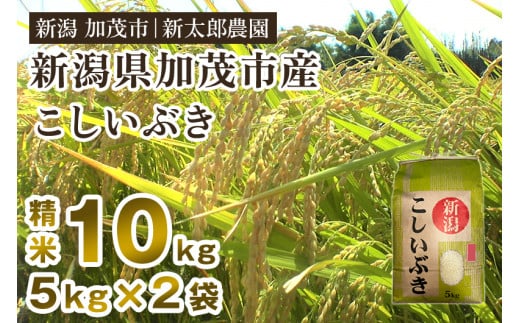 【令和7年産新米】新潟県加茂市産こしいぶき 精米10kg（5kg×2袋） 《9月上旬から順次出荷》 コシイブキ お米 ライス ごはん ご飯 新潟米 新潟産 加茂市産 新太郎農園 2009683 - 新潟県加茂市