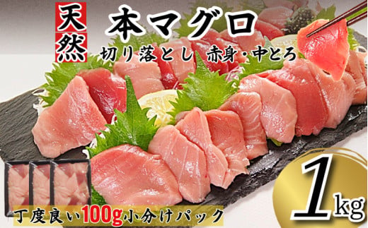 天然本まぐろ 切り落とし 1kg(100g×10P） マグロ 本まぐろ 中とろ 赤身 天然 鮪 小分け 冷凍 刺身 漬け 晩酌 寿司 ユッケ マグロ丼 ねぎとろ 海鮮 2009693 - 徳島県小松島市