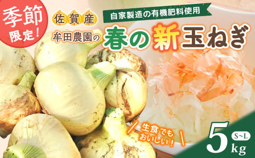 牟田農園の春の新玉ねぎ ５㎏ たまねぎ タマネギ 野菜 新玉ねぎ 玉ねぎ 5kg 玉ねぎ 佐賀県 太良町 K3 1997346 - 佐賀県太良町