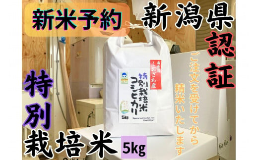 【令和7年産・新米予約】安心安全の新潟県南魚沼産特別栽培米コシヒカリ　5kg　新潟県認証