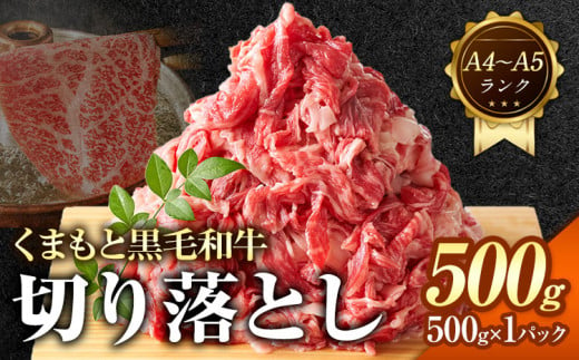 【A4～A5】くまもと 黒毛和牛 切り落とし 500g 《30日以内に出荷予定(土日祝除く)》熊本県 大津町 黒毛和牛 肉 お肉 和牛 牛 牛肉 A5 A4 小分け MEAT PLUS