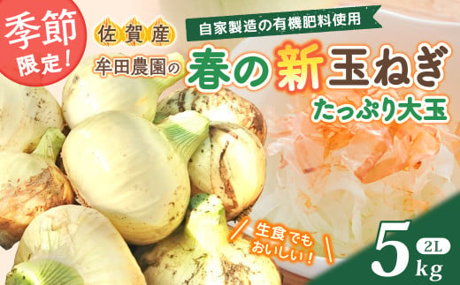 牟田農園の春の新玉ねぎ たっぷり大玉〔2Lサイズ〕５㎏ たまねぎ タマネギ 野菜 新玉ねぎ 玉ねぎ 5kg 玉ねぎ 佐賀県 太良町 K4 2010208 - 佐賀県太良町