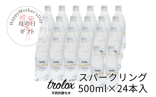 B2-5026-mo／＜母の日ギフト＞トロロックス スパークリング（500ml×24本）