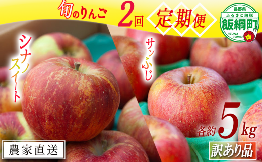 旬のりんご 【 定期便 】 訳あり 5kg × 2回 ヤマハチ農園 沖縄県への配送不可 2025年10月上旬頃から2025年12月下旬頃まで順次発送予定 令和7年度収穫分 BLOF理論栽培 傷 不揃い リンゴ 林檎 果物 フルーツ 信州 長野 25000円 予約 農家直送 長野県 飯綱町 [1944] 2024762 - 長野県飯綱町