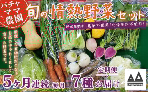 【5ヶ月連続お届け】農園自慢の情熱野菜セット（7品）【野菜 詰め合わせ お任せ 季節物 定期便 セット 山芋 パセリ わさび菜 ポップコーン かぶ 人参 里芋 たまねぎ 玉ねぎ ルッコラ ほうれん草 春菊 大根 芽キャベツ レタス じゃがいも さつまいも とうもろこし そら豆 枝豆 パクチー ビーツ ほうれん草 キャベツ ピーマン なすトマト かぼちゃ】 2118680 - 茨城県下妻市