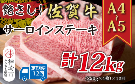 【12か月定期便】艶さし！【A4～A5】佐賀牛サーロインステーキセット 1kg(250g×4枚)×12回【肉 牛肉 ブランド牛 黒毛和牛 ステーキ肉 ふるさと納税】(H112198）