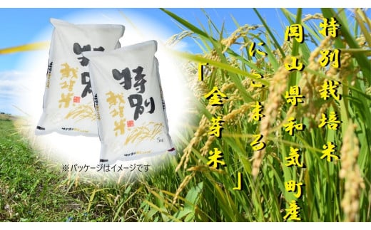 Ez-5【特別栽培米】岡山県和気町産「にこまる（金芽米）」10kg（令和6年産）