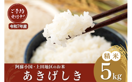 【先行予約】令和7年産・阿蘇小国町「上田地区」の美味しいお米「あきげしき」5kg 801550 - 熊本県小国町
