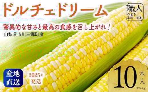 2025年発送！【山梨県市川三郷町産】Inakakara「ドルチェドリーム」10本入[5839-2165]