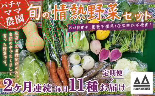 【2ヶ月連続お届け】農園自慢の情熱野菜セット（11品）【野菜 詰め合わせ お任せ 季節物 定期便 セット 山芋 パセリ わさび菜 ポップコーン かぶ 人参 里芋 たまねぎ 玉ねぎ ルッコラ ほうれん草 春菊 大根 芽キャベツ レタス じゃがいも さつまいも とうもろこし そら豆 枝豆 パクチー ビーツ ほうれん草 キャベツ ピーマン なすトマト かぼちゃ】