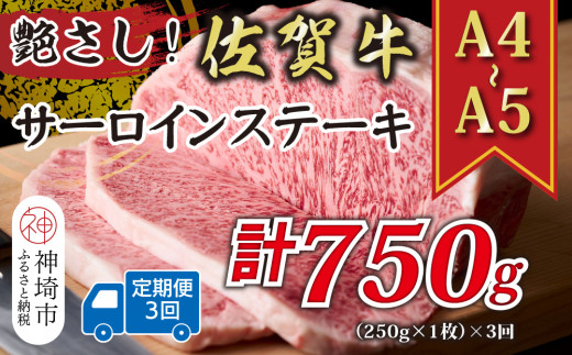 【3か月定期便】艶さし！【A4～A5】佐賀牛サーロインステーキ 250g(250g×1枚)×3回【肉 牛肉 ブランド牛 黒毛和牛 ステーキ肉 ふるさと納税】(H112190)