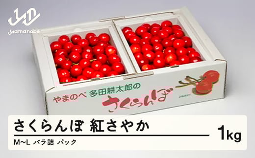 《先行予約》2025年 山形県産 紅さやか バラ詰め(パック）1kg M～L やまのべ多田耕太郎のさくらんぼ サクランボ F20A-037 254719 - 山形県山辺町