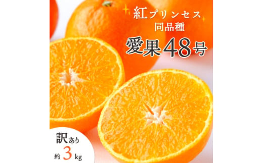 《新品種》甘平×まどんな「紅プリンセス」と同品種!愛媛果試48号 3kg＜訳あり＞＜E25-174＞【1600644】 2011482 - 愛媛県八幡浜市