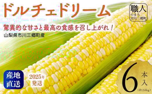 2025年発送！【山梨県市川三郷町産】Inakakara「ドルチェドリーム」6本入[5839-2164]