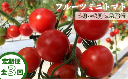 【定期便全3回 4月・5月・6月にお届け】四万十川源流域で育まれた 絶品 フルーツミニトマト 1kg 