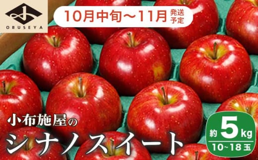  シナノスイート 約5kg 10～18玉 ［小布施屋］りんご 林檎 リンゴ  果物 フルーツ 令和7年産【2025年10月中旬～11月発送】 ［A-207］ 215768 - 長野県小布施町