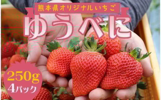 FKP9-539 【先行予約】球磨村産いちご/ゆうべに 2箱 (250g×4パック) 1104005 - 熊本県球磨村
