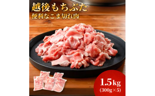 越後もちぶたこま切れ肉1.5kg(300g×5パック)【1595589】