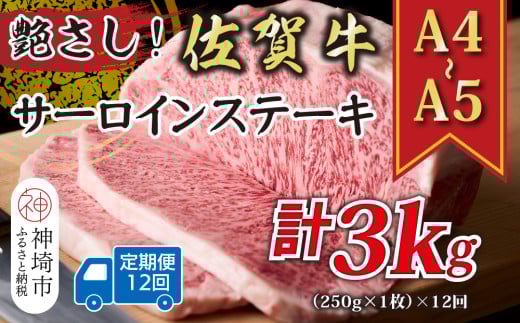 【12か月定期便】艶さし！【A4～A5】佐賀牛サーロインステーキ 250g(250g×1枚)×12回【肉 牛肉 ブランド牛 黒毛和牛 ステーキ肉 ふるさと納税】(H112192)