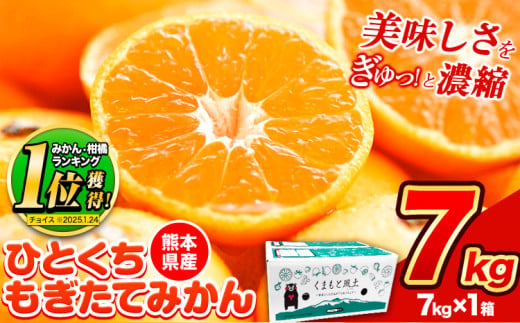 【2025年先行予約】訳あり みかん ひとくちもぎたてみかん 約 7kg (7kg×1箱) S-3Sサイズ 訳あり ご家庭用 熊本県産 （荒尾市産含む） 期間限定 フルーツ 果物 旬 冬 柑橘 小玉 みかん《2025年10月中旬-12月末頃出荷》