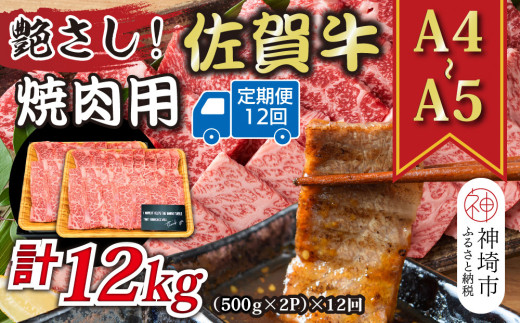 【12か月定期便】艶さし！【A4～A5】佐賀牛焼肉用 1kg(500g×2P)×12回【肉 牛肉 ブランド牛 黒毛和牛 ふるさと納税】(H112171)