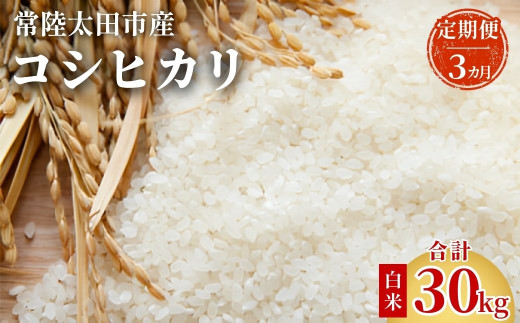 【定期便】令和7年産 茨城県 常陸太田市産 コシヒカリ10kg（全3回）｜こしひかり 米 こめ コメ お取り寄せ 米どころ 茨城県産 贈答 人気 ランキング ごはん 贈り物 10キロ 風味 甘い 常陸太田市 茨城県 698213 - 茨城県常陸太田市