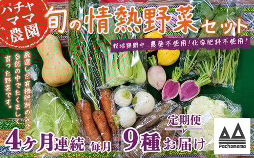 【4ヶ月連続お届け】農園自慢の情熱野菜セット（9品）【野菜 詰め合わせ お任せ 季節物 定期便 セット 山芋 パセリ わさび菜 ポップコーン かぶ 人参 里芋 たまねぎ 玉ねぎ ルッコラ ほうれん草 春菊 大根 芽キャベツ レタス じゃがいも さつまいも とうもろこし そら豆 枝豆 パクチー ビーツ ほうれん草 キャベツ ピーマン なすトマト かぼちゃ】