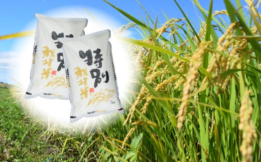 Ez-5【特別栽培米】岡山県和気町産「にこまる（金芽米）」10kg（令和6年産）