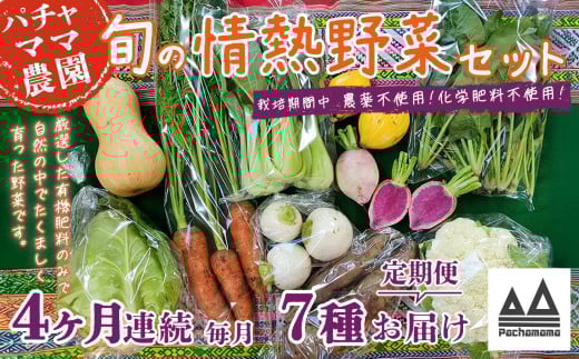 【4ヶ月連続お届け】農園自慢の情熱野菜セット（7品）【野菜 詰め合わせ お任せ 季節物 定期便 セット 山芋 パセリ わさび菜 ポップコーン かぶ 人参 里芋 たまねぎ 玉ねぎ ルッコラ ほうれん草 春菊 大根 芽キャベツ レタス じゃがいも さつまいも とうもろこし そら豆 枝豆 パクチー ビーツ ほうれん草 キャベツ ピーマン なすトマト かぼちゃ】 2118679 - 茨城県下妻市