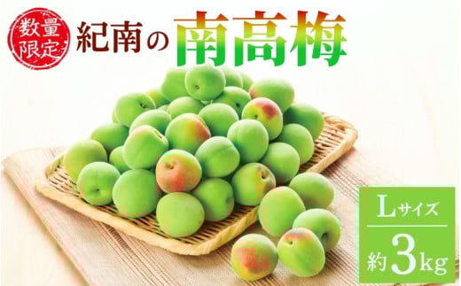 【2025年分予約】紀南の南高梅（Lサイズ）約3kg※2025年5月下旬～6月中旬頃順次発送予定 / 田辺市 果物 果実 くだもの かじつ 梅 青梅 生梅 梅干し うめぼし 梅酒 梅ジュース 梅シロップ 手作り 自家製 新鮮 【okw002】 2091297 - 和歌山県田辺市
