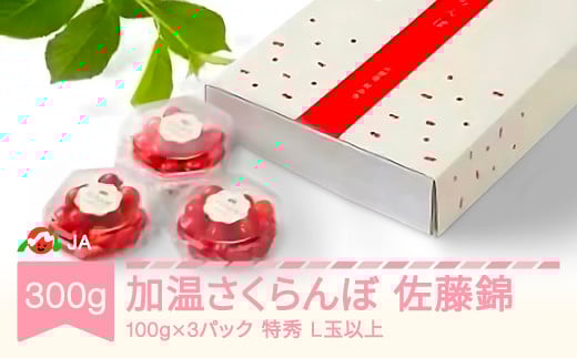 先行予約 加温ハウス さくらんぼ 佐藤錦 2026年産 令和8年産 ダイヤパック100g×3P 特秀L玉以上 早出し ja-snpcx300